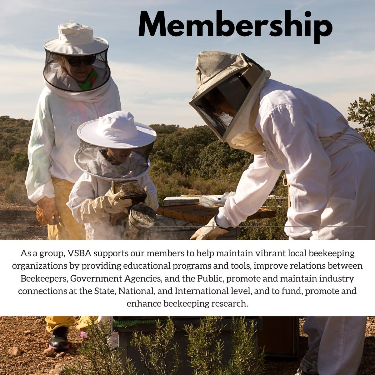 Information for Beekeepers